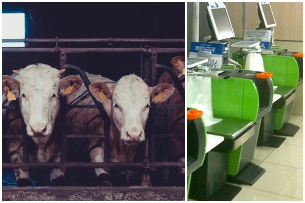 First Slaughterhouse Introduces Self-Checkout For&nbsp;Cows