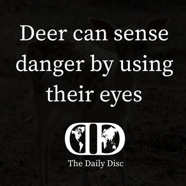 Daily Fact 21.03.2025