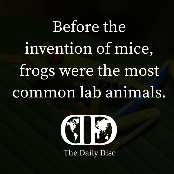 Daily Fact 30.03.2025